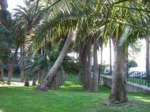 Parc Vigier à Nice