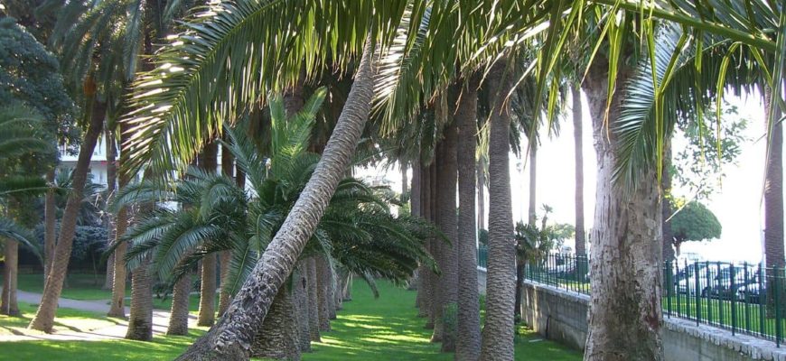 Parc Vigier à Nice