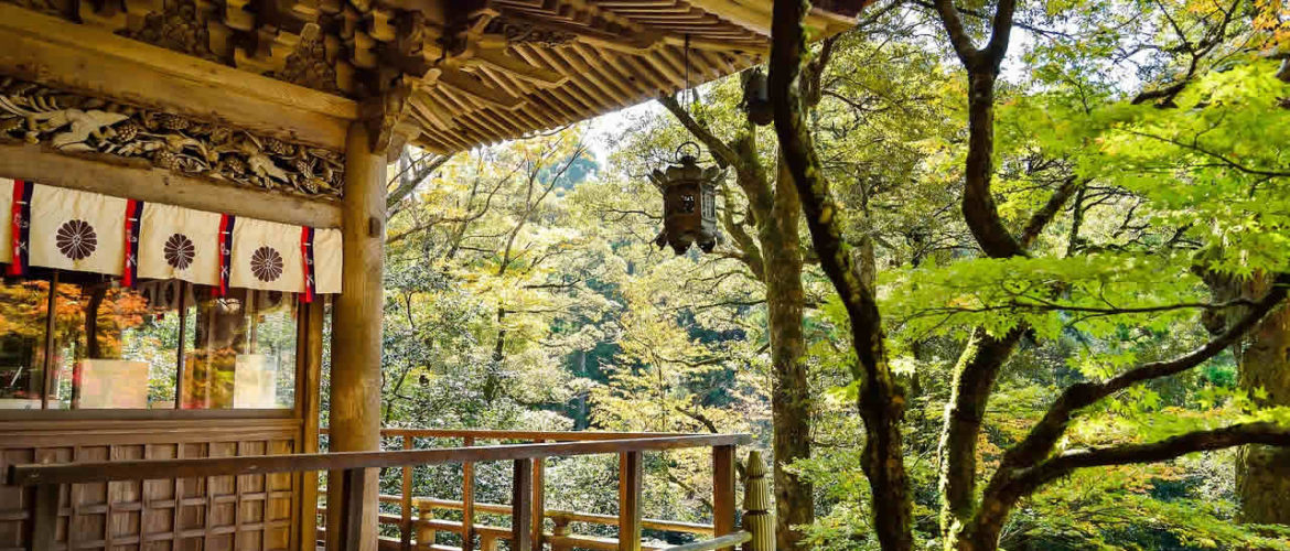 3 bonnes raisons pour lesquelles vous devriez visiter le Japon